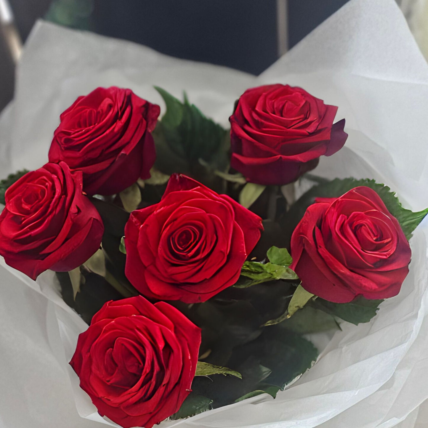 6 Red Valentines Roses