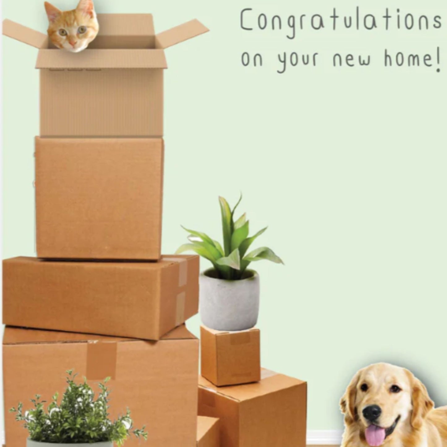 New Home Card
