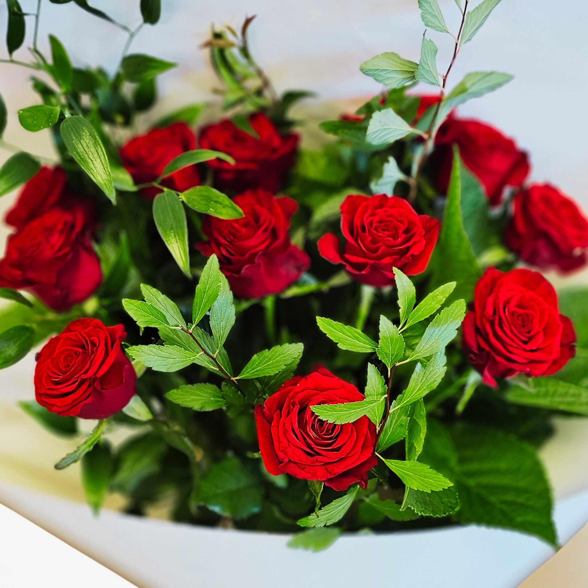 Valentines Red Roses ~ 12 Stems